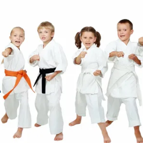 The Dojo Karate Center