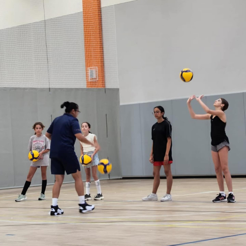 Star Volleyball Academy