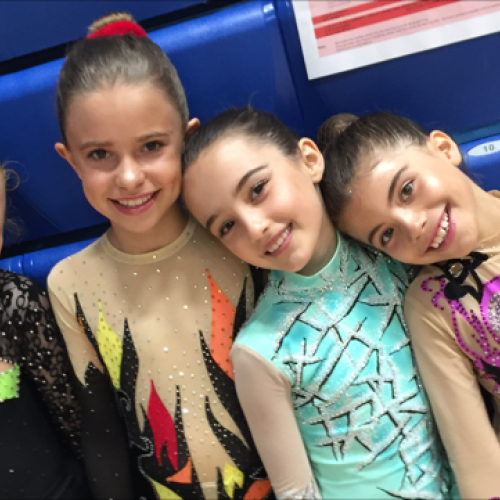 Shine Rhythmic Gymnastics Club