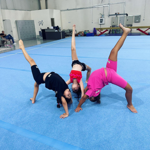 Saraterra Gymnastics Academy