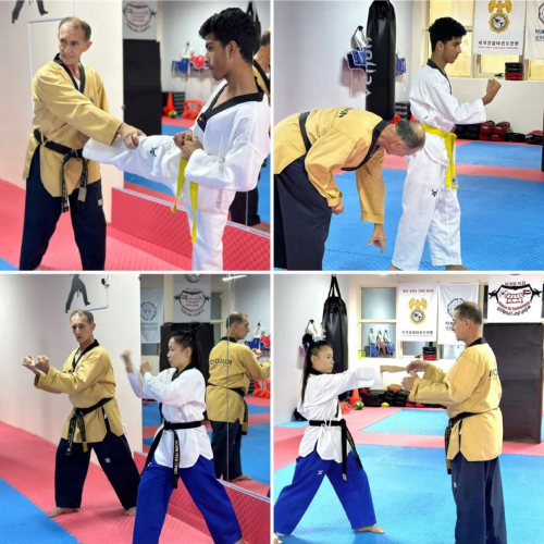 House Of Taekwondo