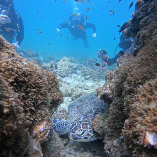 Reef Oasis Diving Center