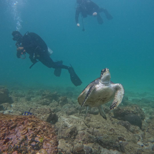 Reef Oasis Diving Center