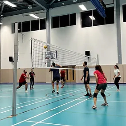 Volleyball Empire