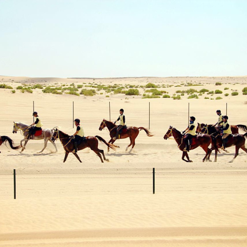 Aayan Equestrian Club