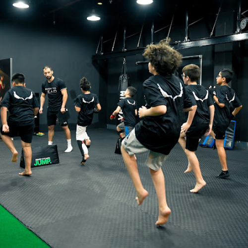 LEAD Fight & Fit Studio