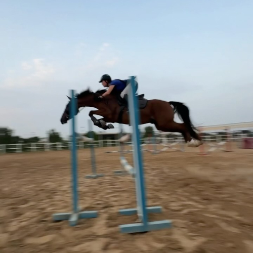 Horse riding coach in Dubai