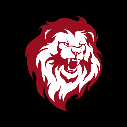 Lions Karate Martial Arts Club