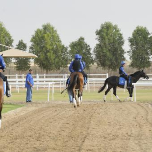 Godolphin Stables