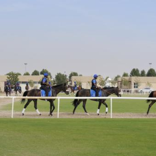 Godolphin Stables