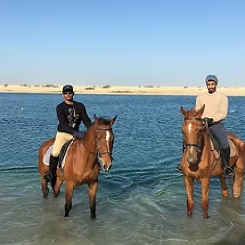 Al Bahia Equestrian Club