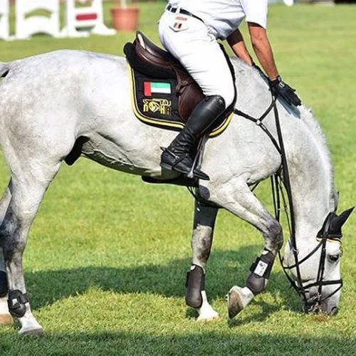 Al Bahia Equestrian Club