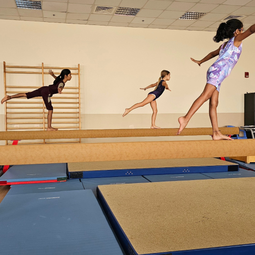 Royal fit gymnastics club