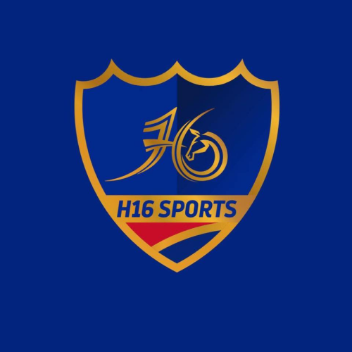 H16sports