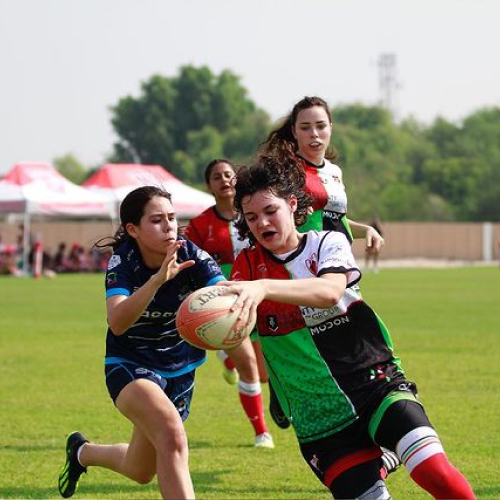 Abu Dhabi Harlequins