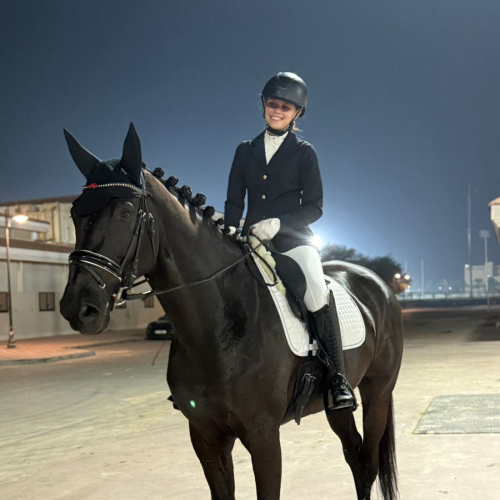 Mido Equestrian Club