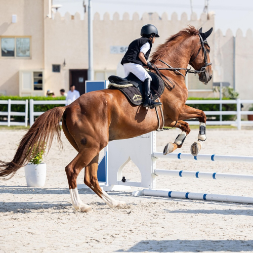 Mandara Equestrian Club