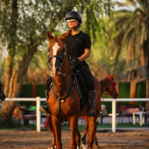 The Saddle Equestrian Club