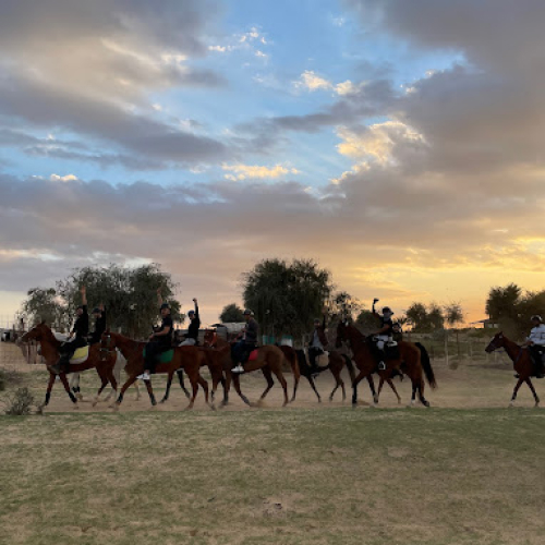 The Saddle Equestrian Club