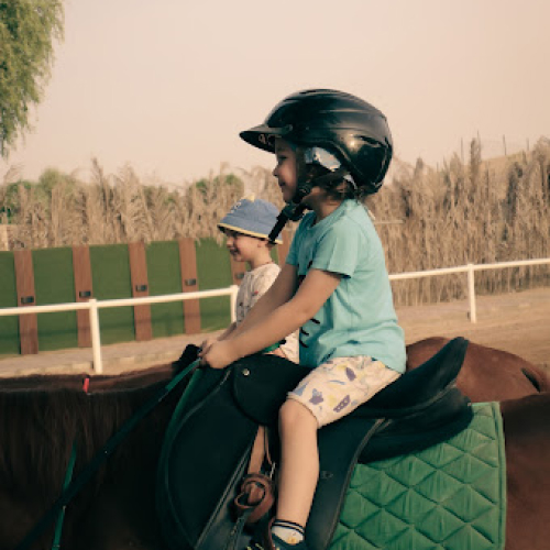 The Saddle Equestrian Club