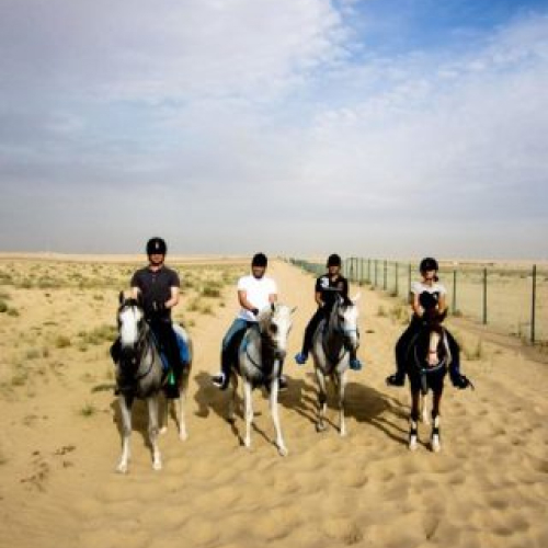 Al Jiyad Stables