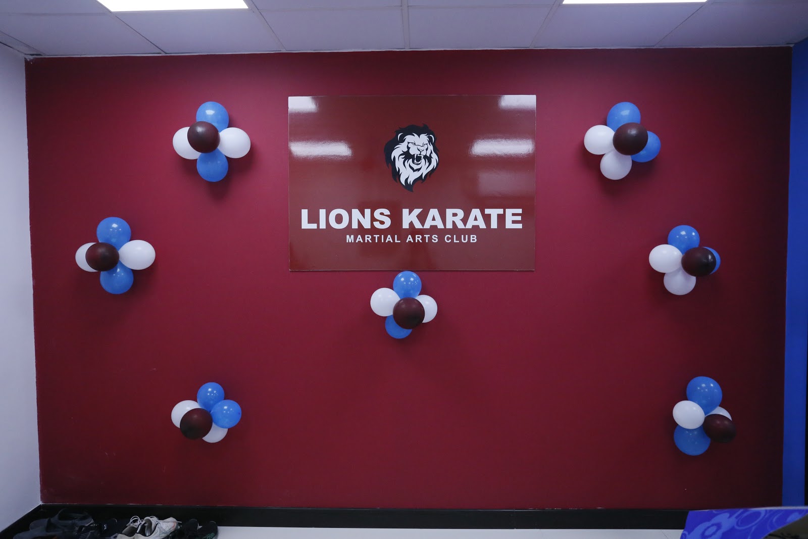 Lions Karate Martial Arts Club