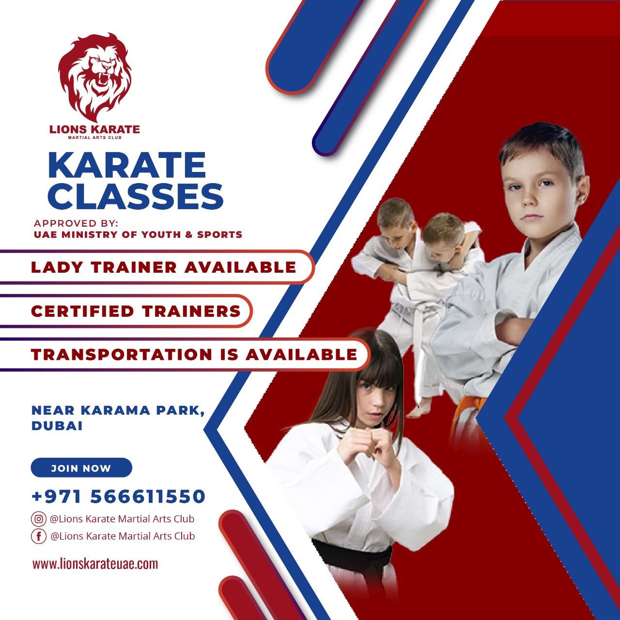 Lions Karate Martial Arts Club