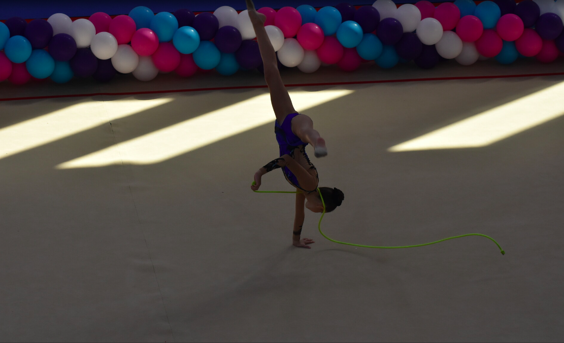 Little Stars Gymnastics Club