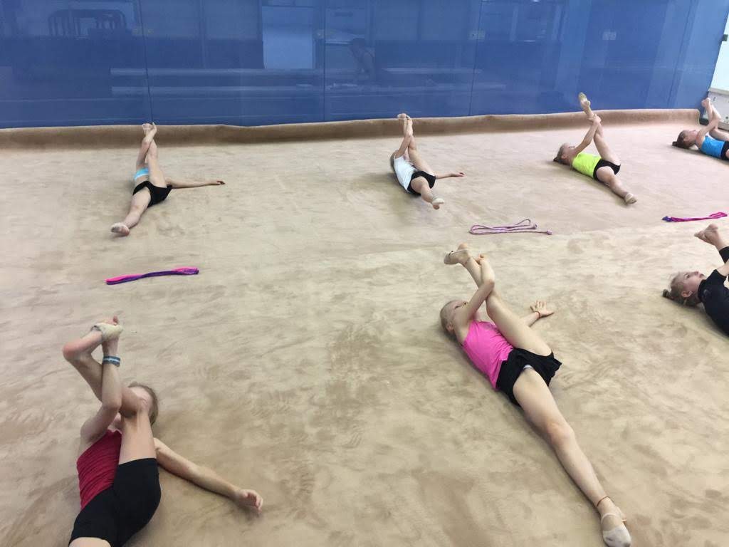 Flying Roses (Rhythmic Gymnastics & Taekwondo)