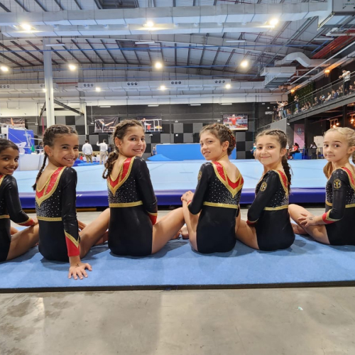 Dubai Olympic Gymnastics Club