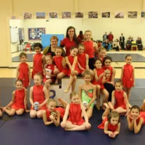 Shine Rhythmic Gymnastics Club