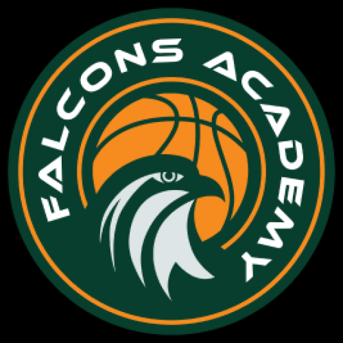 Falcons Academy