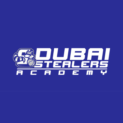 Dubai Stealers Academy