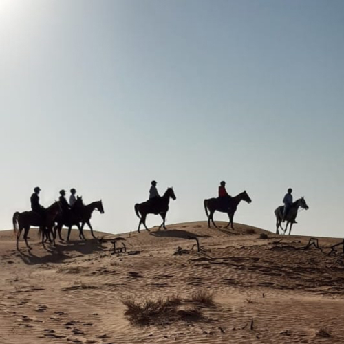 Al Khamis Equestrian Club