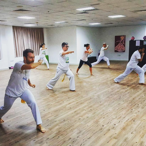 Brazilian Martial Arts (Capoeira )