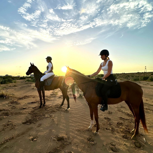 HM EQUESTRIAN CLUB