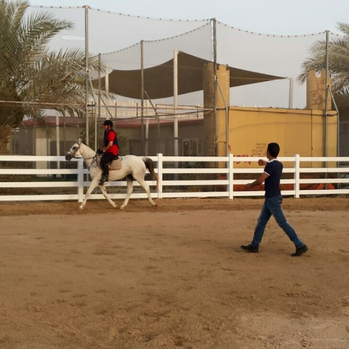 yrm equestrian club