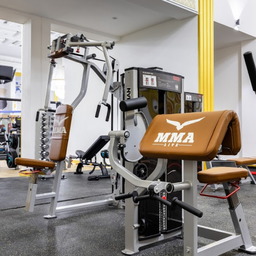 MMA Live Gym Dubai