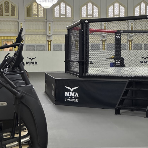 MMA Live Gym Dubai