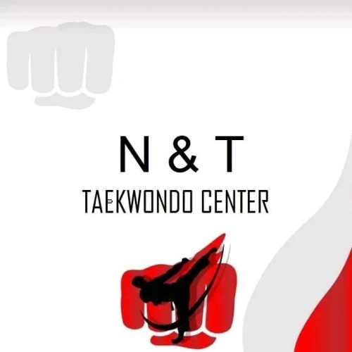 N and t taekwondo and karate center