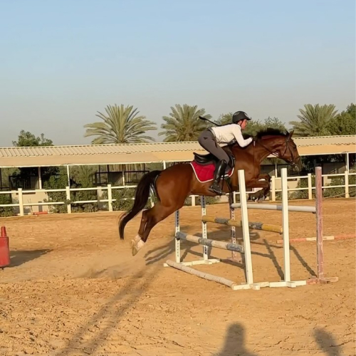 Horse riding coach in Dubai