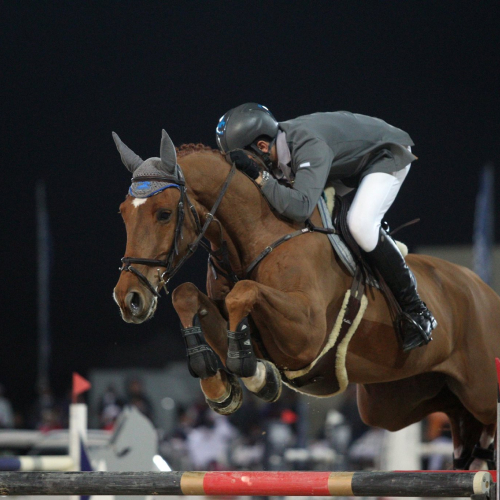 Sharjah equestrian and racing club