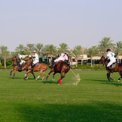 Desert Palm Polo Club