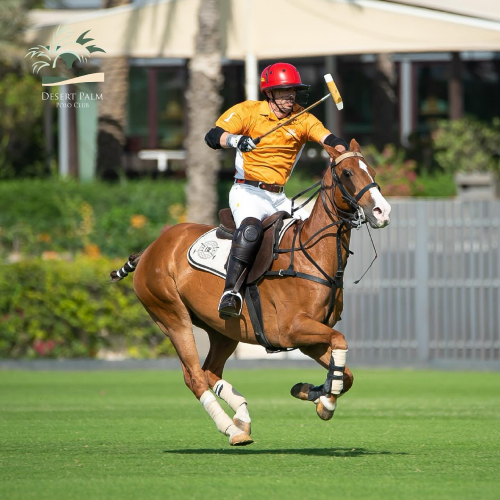 Desert Palm Polo Club