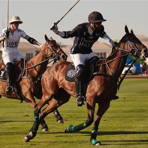 Desert Palm Polo Club