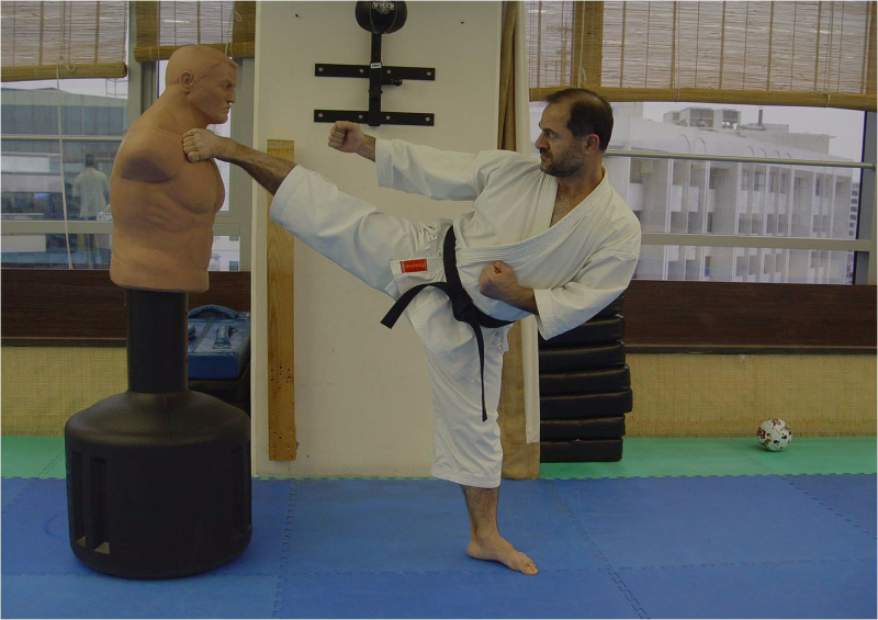 Traditional Martial Arts & Fitness