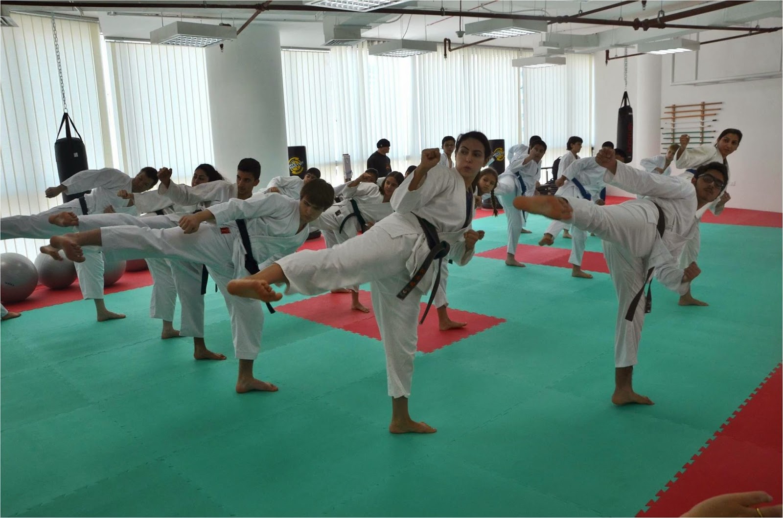 Traditional Martial Arts & Fitness