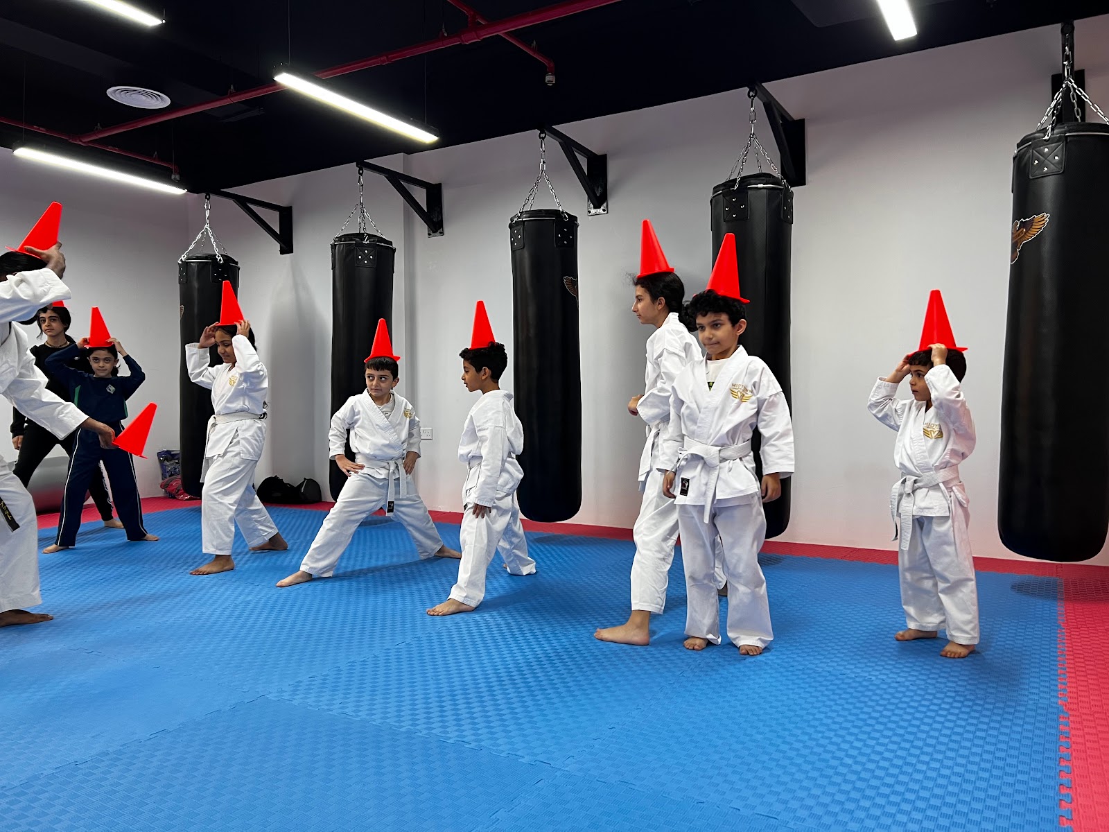 MIDTOWN MARTIAL ARTS CLUB