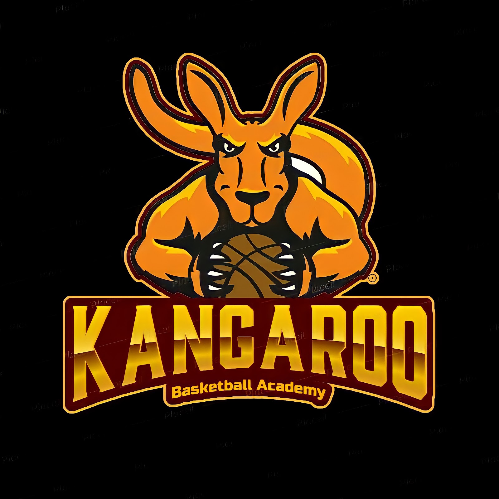 Kangaroo Academy