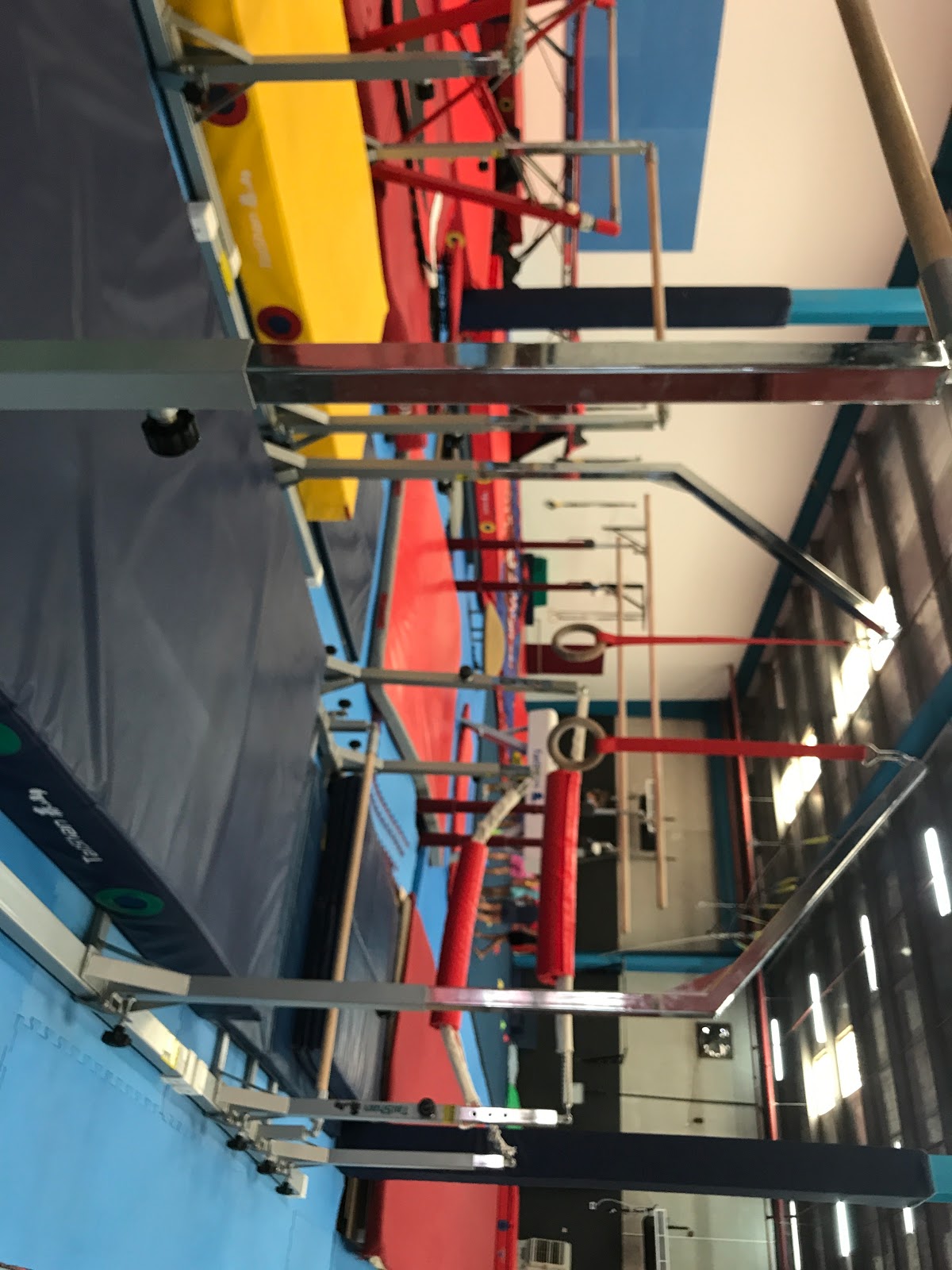 Dubai Elite Gymnastics Academy - DEGA